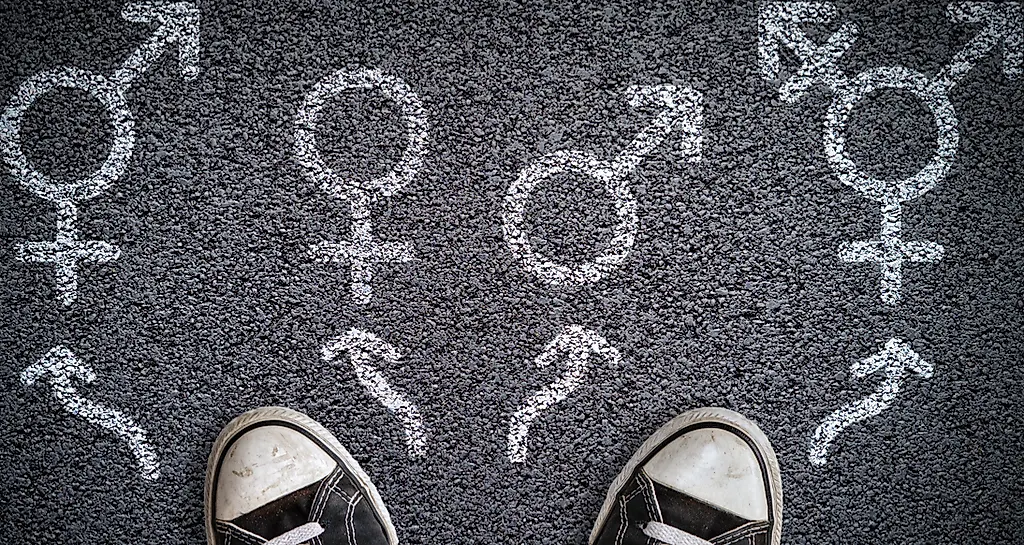 Основные термины