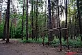 Можно ли вытянуть рост на турнике: объяснение нейрохирурга