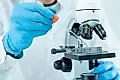 Прозрачные мыши показали, как ожирение разрушает нервы: новое исследование