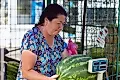Кому нельзя есть арбузы: мнение диетолога Ковановой