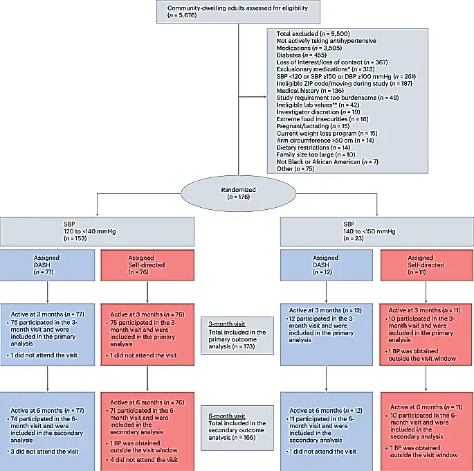 Доставка здоровой еды снижает давление даже при приеме лекарств