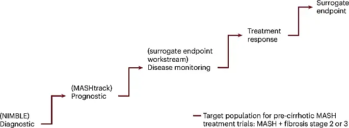 Новый взгляд на МАСГ: как неинвазивные тесты меняют правила игры