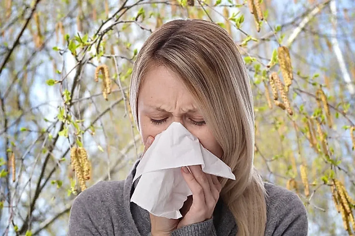 Аллергия-2026: Календарь цветения растений средней полосы и прогноз для аллергиков