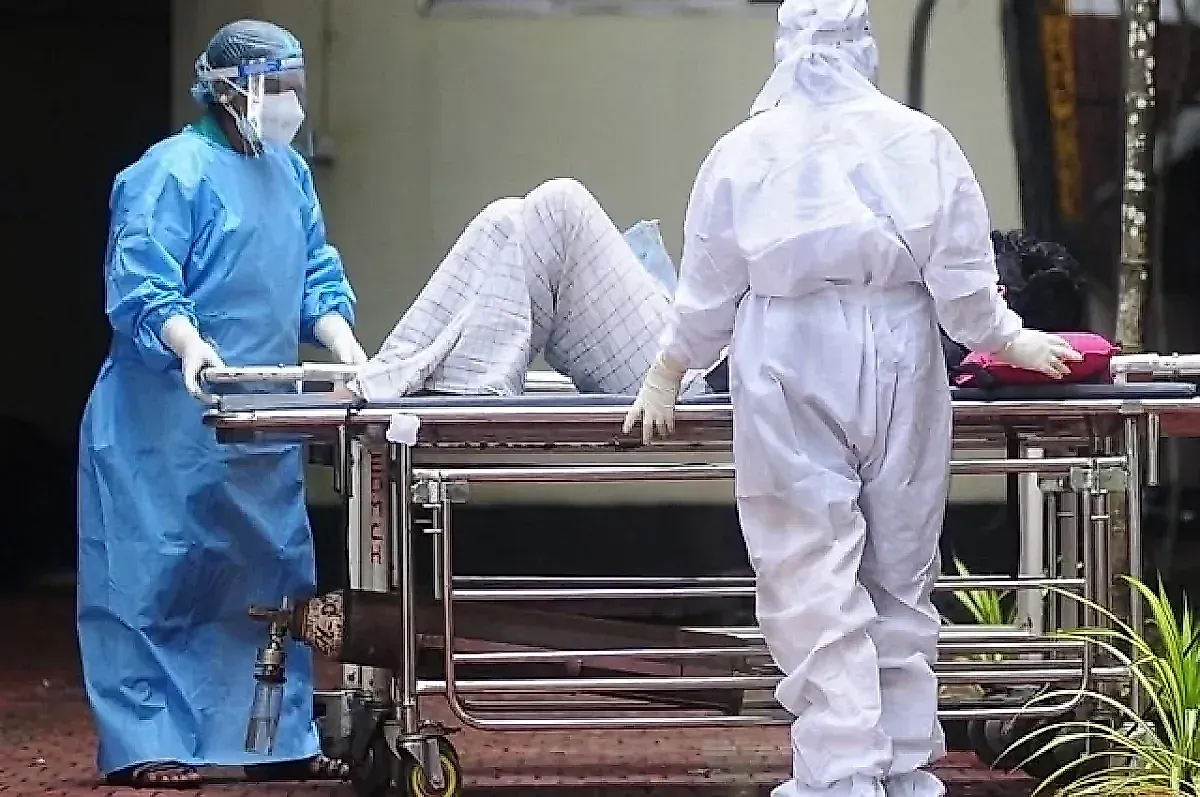 Марбургская лихорадка: симптомы, происхождение и опасность вируса с кровью из глаз