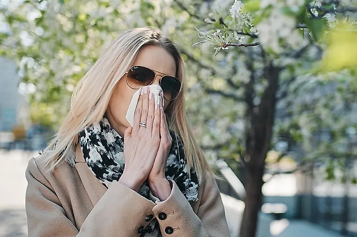 Аллергия на пыльцу: 5 правил и современное лечение от врача-аллерголога Павла Бережанского