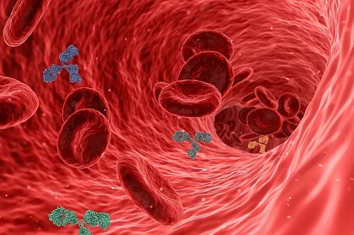 4 правила поддержки иммунитета от врача-гастроэнтеролога Сергея Вялова: сон, питание, активность и стресс