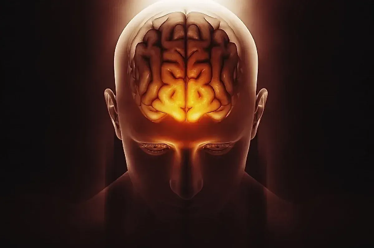 Исследование Lancet: как мозг омолаживается после инсульта и что это значит для реабилитации