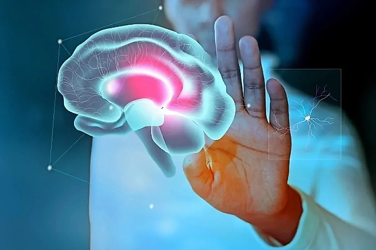 Как городская среда влияет на старение мозга: факты от биолога Петра Лидского