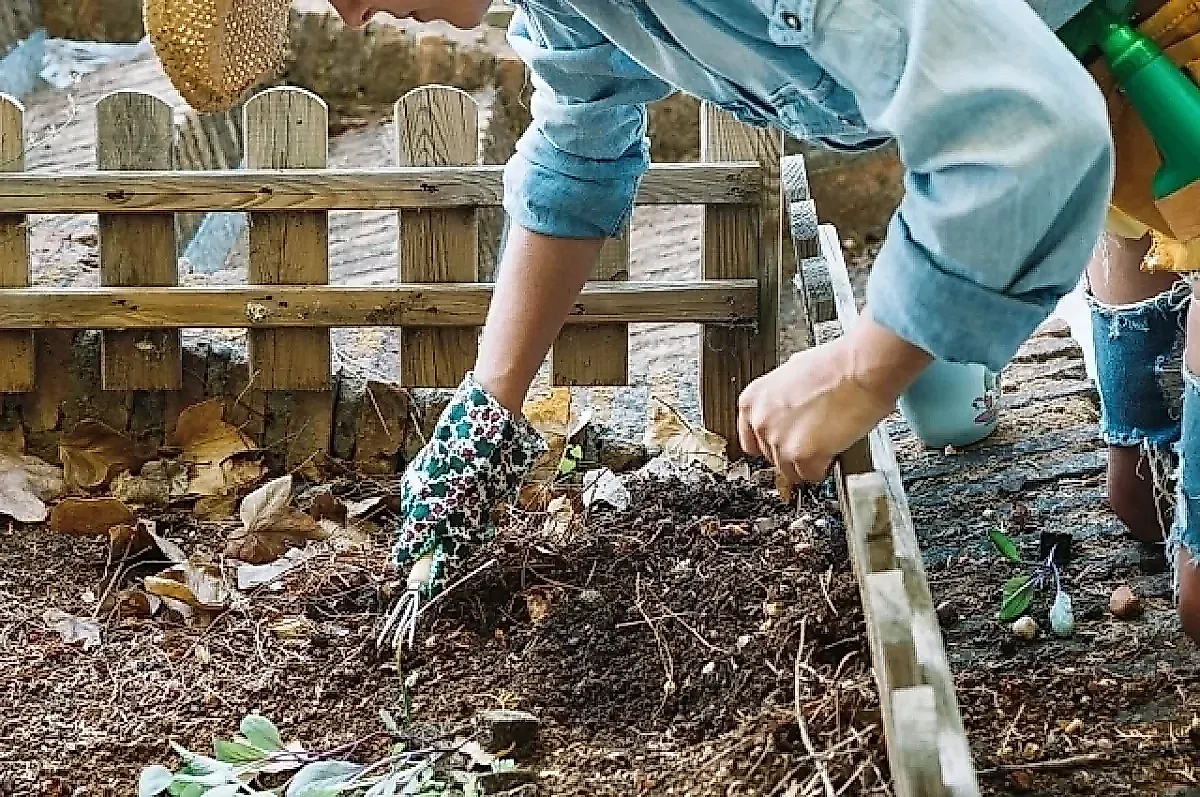 Дизентерия, гепатит А, столбняк: какие инфекции подстерегают на даче и как защититься