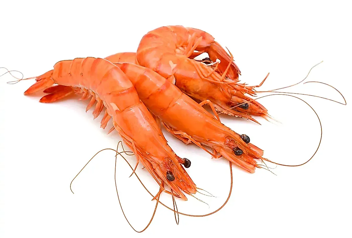 Новый вирус POH-VAU в морепродуктах: как креветки и рыба могут угрожать зрению человека