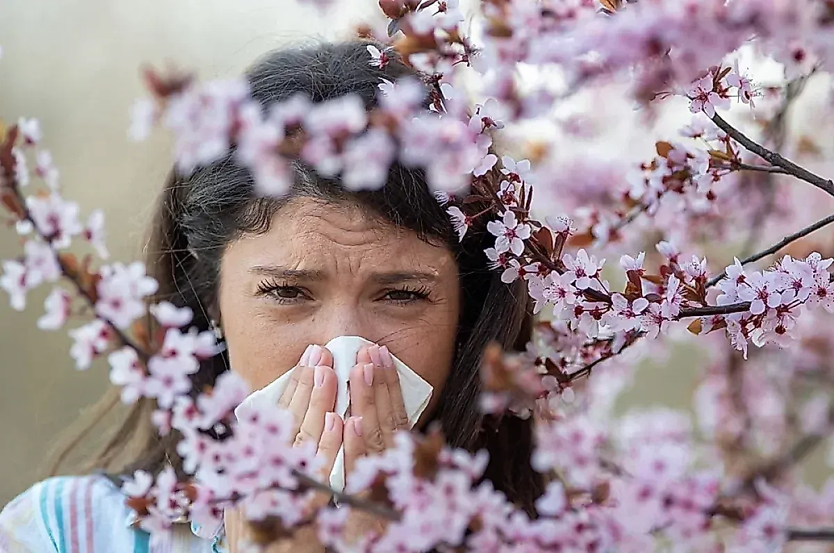 Поллиноз: как аллергикам пережить сезон цветения и избежать астмы