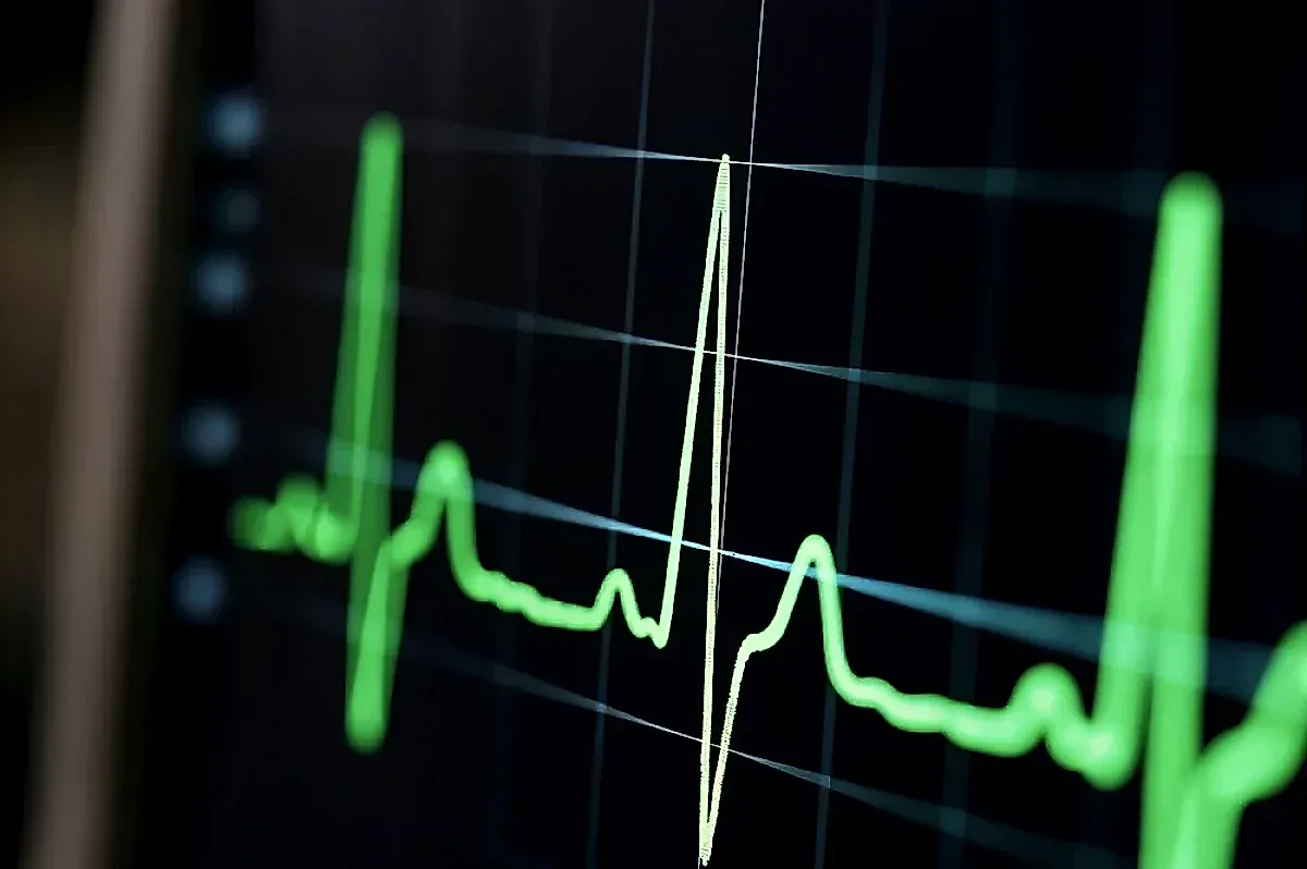 Сокращения сердца подавляют рост раковых клеток: открытие ученых