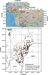 Азитромицин спасает детей, но вызывает устойчивость бактерий
