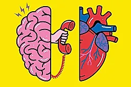 Как музыка и сердце помогают мозгу: удивительная связь внутри нас