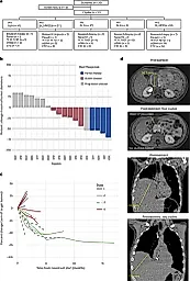 Новый подход к лечению саркомы Юинга: как два лекарства помогают там, где другие бессильны