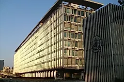 ВОЗ: вспышка хантавируса пока не выходит за пределы, но ситуация может измениться
