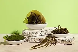 Почему нельзя часто есть морскую капусту: мнение нутрициолога