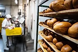 Белый хлеб: почему врачи советуют заменить его на черный и цельнозерновой