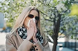 Аллергия на пыльцу: 5 правил и современное лечение от врача-аллерголога Павла Бережанского