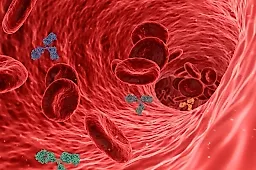 4 правила поддержки иммунитета от врача-гастроэнтеролога Сергея Вялова: сон, питание, активность и стресс