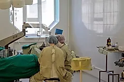 Дирофиляриоз: как червь из глаза женщины в Дагестане раскрывает редкую угрозу от комаров