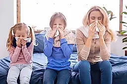 Весенний ринит: как правильно лечить насморк и избежать осложнений — советы врача Бережанского