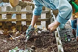 Дизентерия, гепатит А, столбняк: какие инфекции подстерегают на даче и как защититься