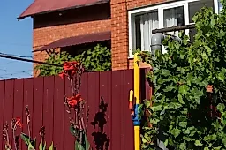 Работа на огороде и депрессия: мнение психиатра Сергея Литкова о пользе и ограничениях дачной терапии