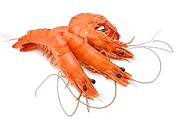 Новый вирус POH-VAU в морепродуктах: как креветки и рыба могут угрожать зрению человека