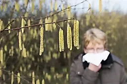 Аллергия весной и летом: симптомы, лечение и профилактика от аллерголога