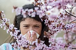 Поллиноз: как аллергикам пережить сезон цветения и избежать астмы