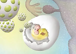 Повреждения яичка