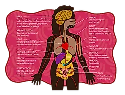 Воздействие  на репродуктивную систему
