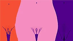 Размеры влагалища