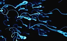 Мужское бесплодие