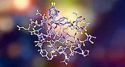 Гормоны пубертатного периода и сексуальность