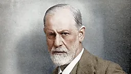 Теория полового развития Фрейда