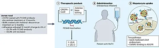 Редактирование генов: прорыв в лечении наследственного холестерина