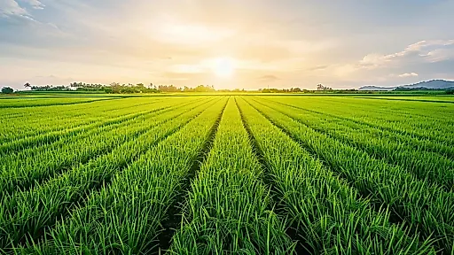 Наноселен: как крошечный минерал может накормить планету