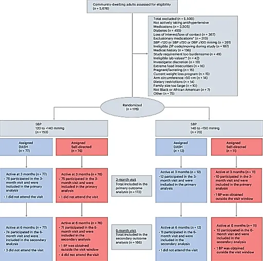 Доставка здоровой еды снижает давление даже при приеме лекарств