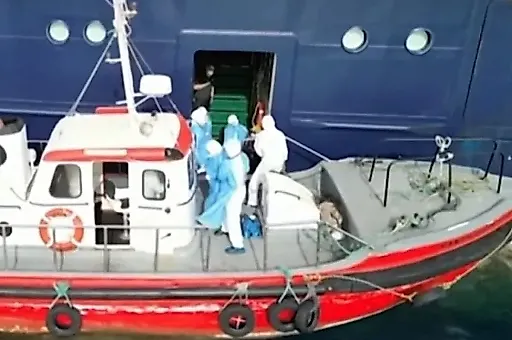Хантавирус на круизном лайнере: вспышка, симптомы и поиск пассажиров