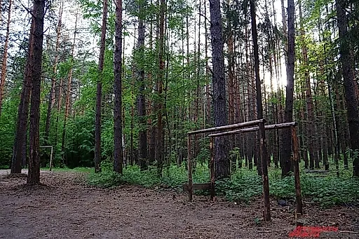 Можно ли вытянуть рост на турнике: объяснение нейрохирурга