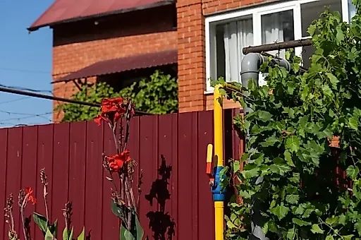 Работа на огороде и депрессия: мнение психиатра Сергея Литкова о пользе и ограничениях дачной терапии