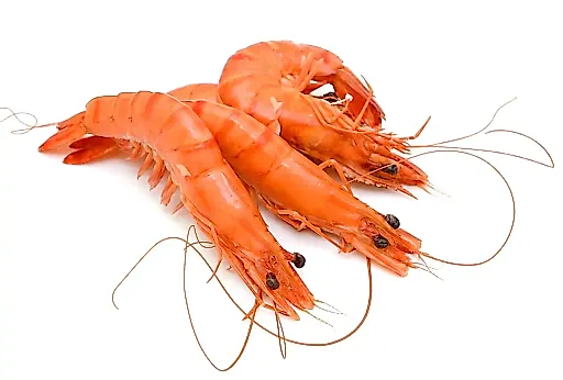 Новый вирус POH-VAU в морепродуктах: как креветки и рыба могут угрожать зрению человека