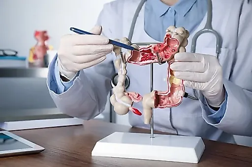 Как совместная жизнь влияет на микробиом кишечника: исследование на птицах раскрывает роль социальных контактов