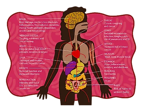 Воздействие  на репродуктивную систему