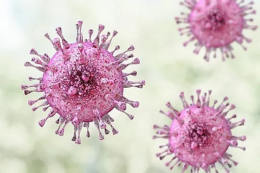 Цитомегаловирус