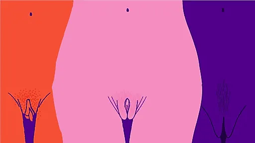 Размеры влагалища