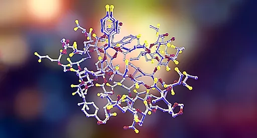Гормоны пубертатного периода и сексуальность
